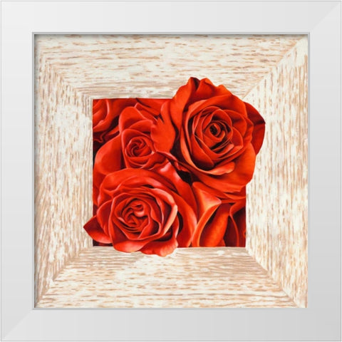 French Roses I White Modern Wood Framed Art Print by Benson, Pierre