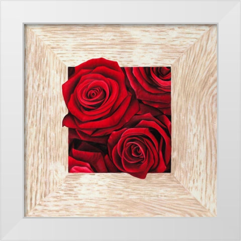 French Roses II White Modern Wood Framed Art Print by Benson, Pierre
