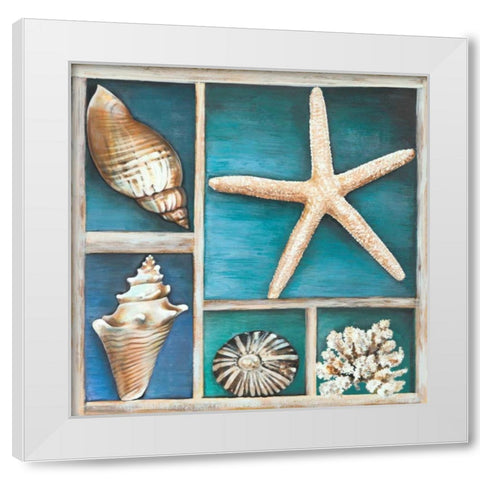 Collection of Memories II White Modern Wood Framed Art Print by Broome, Ted