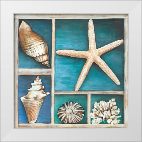 Collection of Memories II White Modern Wood Framed Art Print by Broome, Ted