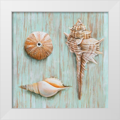 Bretagne III White Modern Wood Framed Art Print by Broome, Ted