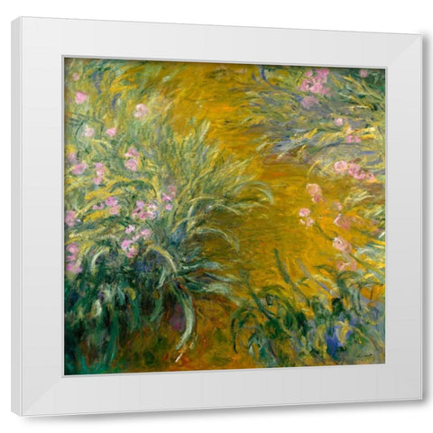 The Path through the Irises White Modern Wood Framed Art Print by Monet, Claude