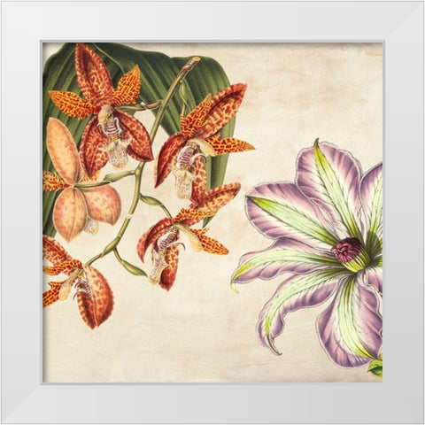 Panneau Botanique V White Modern Wood Framed Art Print by Dellal, Remy