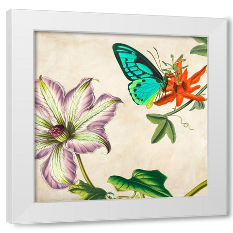 Panneau Botanique VI White Modern Wood Framed Art Print by Dellal, Remy