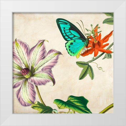 Panneau Botanique VI White Modern Wood Framed Art Print by Dellal, Remy