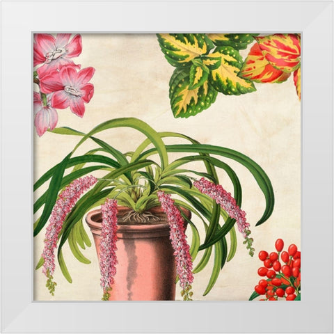 Panneau Botanique VII White Modern Wood Framed Art Print by Dellal, Remy