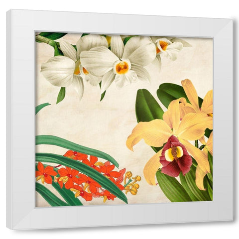 Panneau Botanique VIII White Modern Wood Framed Art Print by Dellal, Remy