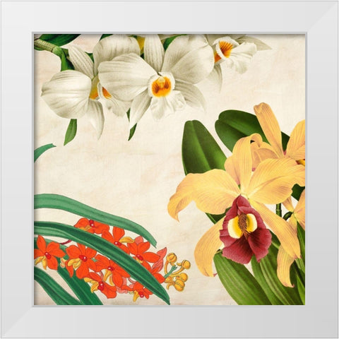 Panneau Botanique VIII White Modern Wood Framed Art Print by Dellal, Remy