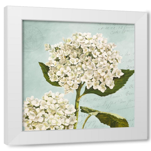 Hydrangeas II (Aqua) White Modern Wood Framed Art Print by Remy, Dellal
