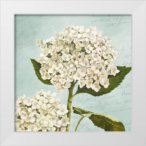 Hydrangeas II (Aqua) White Modern Wood Framed Art Print by Remy, Dellal