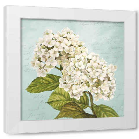 Hydrangeas III (Aqua) White Modern Wood Framed Art Print by Remy, Dellal