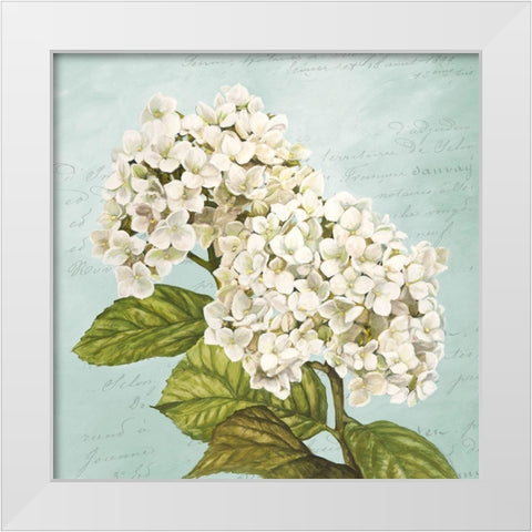 Hydrangeas III (Aqua) White Modern Wood Framed Art Print by Remy, Dellal