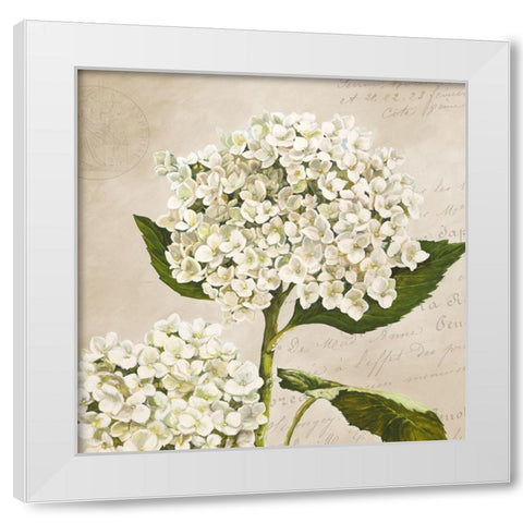 Hydrangeas II (Neutre) White Modern Wood Framed Art Print by Remy, Dellal