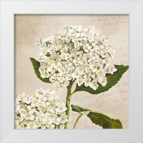 Hydrangeas II (Neutre) White Modern Wood Framed Art Print by Remy, Dellal
