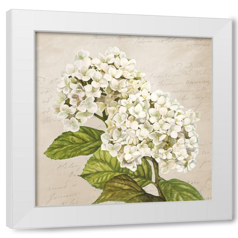 Hydrangeas III (Neutre) White Modern Wood Framed Art Print by Remy, Dellal