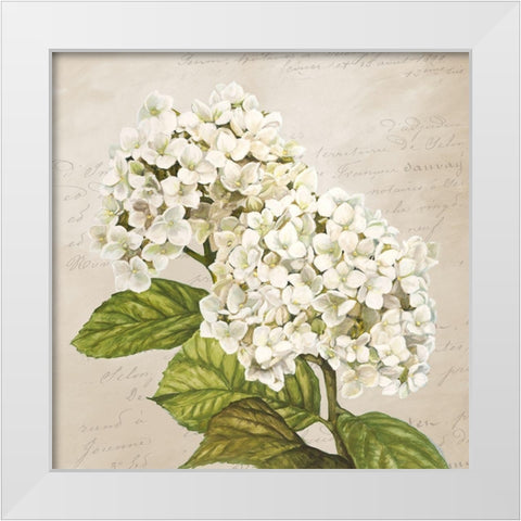Hydrangeas III (Neutre) White Modern Wood Framed Art Print by Remy, Dellal