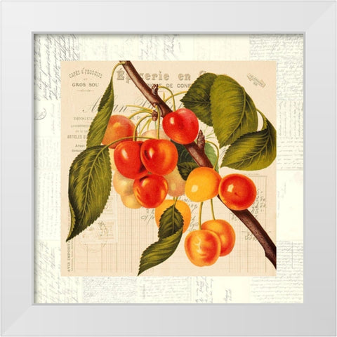 Cerises White Modern Wood Framed Art Print by Dellal, Remy