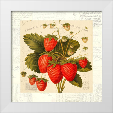 Fraises White Modern Wood Framed Art Print by Dellal, Remy