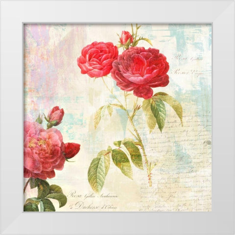 Redoutes Roses 2.0 - IIÂ  White Modern Wood Framed Art Print by Chestier, Eric
