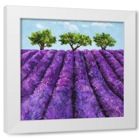 Filari di lavanda White Modern Wood Framed Art Print by Germani, Massimo