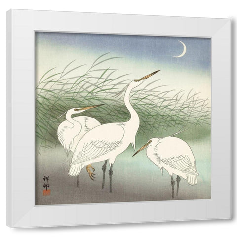 Herons in shallow water White Modern Wood Framed Art Print by Koson, Ohara