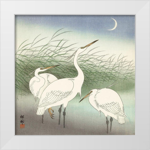 Herons in shallow water White Modern Wood Framed Art Print by Koson, Ohara