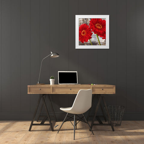 Red Gerberas I White Modern Wood Framed Art Print by Thomlinson, Jenny