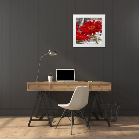 Red Gerberas II White Modern Wood Framed Art Print by Thomlinson, Jenny