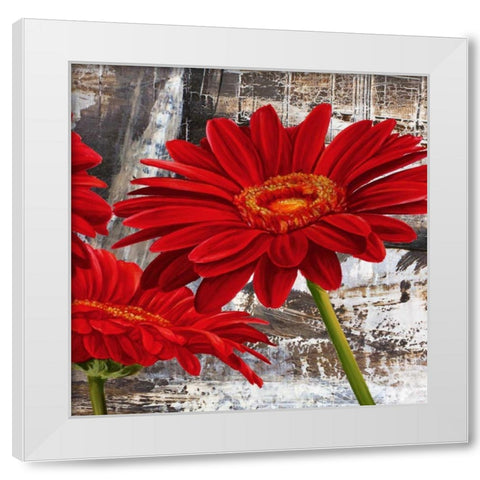 Red Gerberas II White Modern Wood Framed Art Print by Thomlinson, Jenny