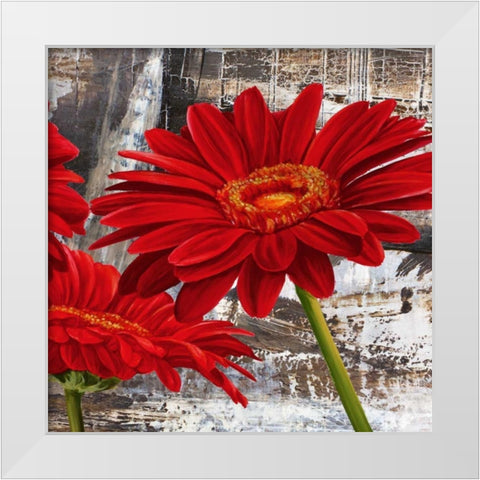 Red Gerberas II White Modern Wood Framed Art Print by Thomlinson, Jenny
