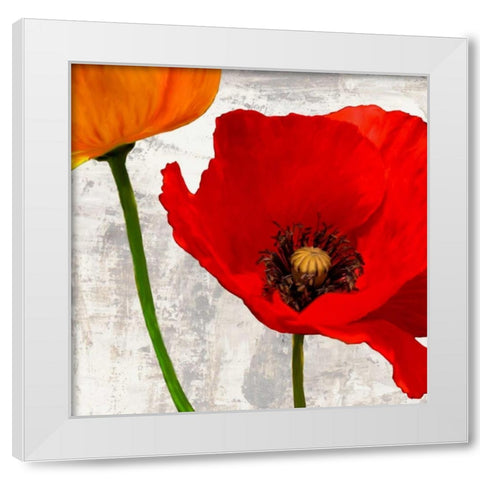 Summer Poppies I White Modern Wood Framed Art Print by Thomlinson, Jenny