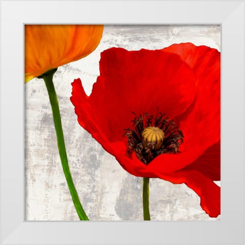 Summer Poppies I White Modern Wood Framed Art Print by Thomlinson, Jenny