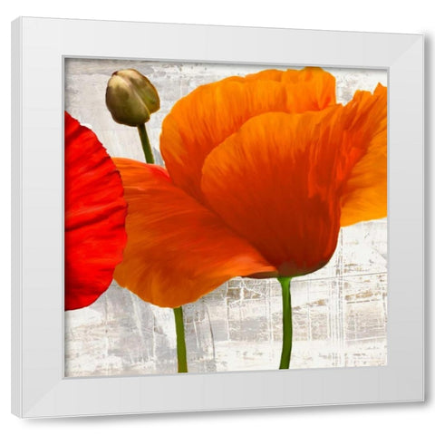 Summer Poppies II White Modern Wood Framed Art Print by Thomlinson, Jenny
