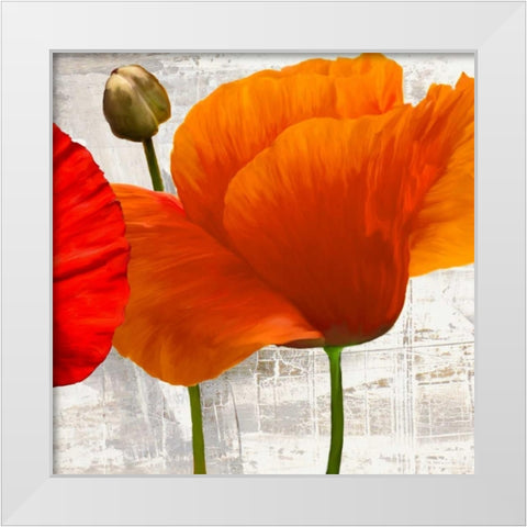 Summer Poppies II White Modern Wood Framed Art Print by Thomlinson, Jenny