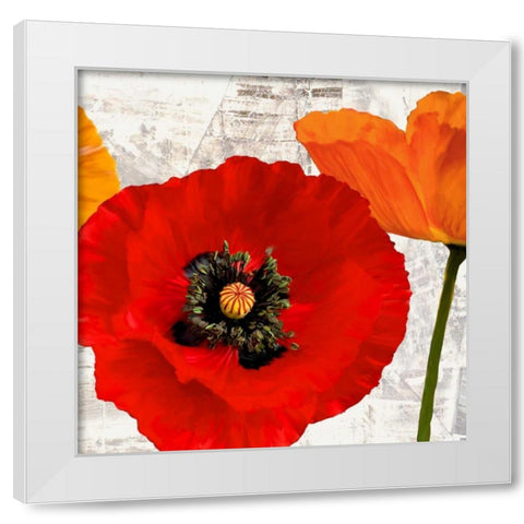 Summer Poppies III White Modern Wood Framed Art Print by Thomlinson, Jenny