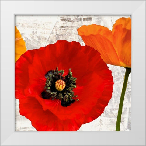 Summer Poppies III White Modern Wood Framed Art Print by Thomlinson, Jenny