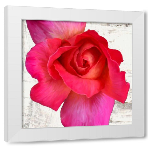 Spring Roses I White Modern Wood Framed Art Print by Thomlinson, Jenny