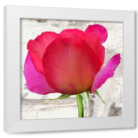 Spring Roses II White Modern Wood Framed Art Print by Thomlinson, Jenny