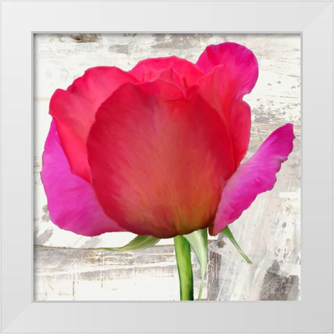 Spring Roses II White Modern Wood Framed Art Print by Thomlinson, Jenny