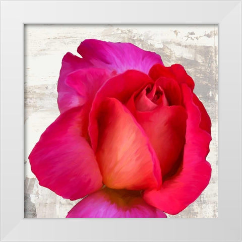 Spring Roses III White Modern Wood Framed Art Print by Thomlinson, Jenny