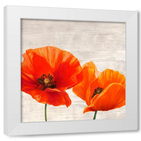 Bright Poppies I White Modern Wood Framed Art Print by Jenny, Thomlinson