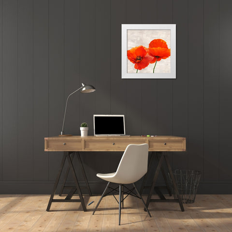 Bright Poppies II White Modern Wood Framed Art Print by Jenny, Thomlinson
