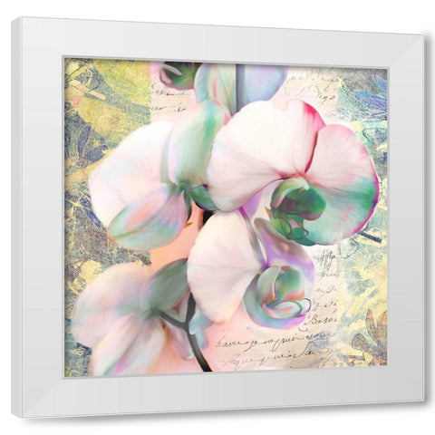 Kaleidoscope Orchid (detail) White Modern Wood Framed Art Print by Kelly, Parr