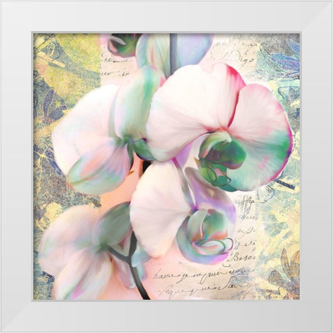 Kaleidoscope Orchid (detail) White Modern Wood Framed Art Print by Kelly, Parr