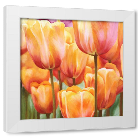 Spring Tulips II White Modern Wood Framed Art Print by Villa, Luca