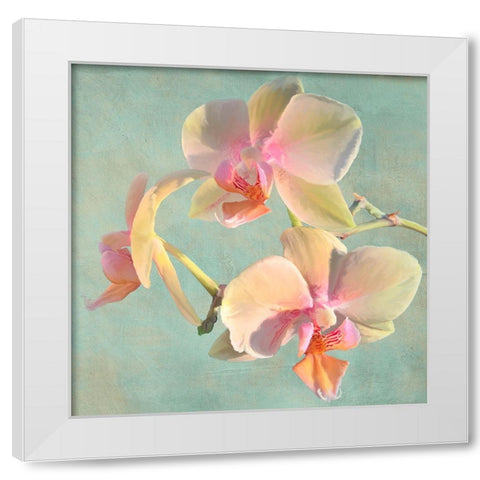 Jewel Orchids I White Modern Wood Framed Art Print by Villa, Luca