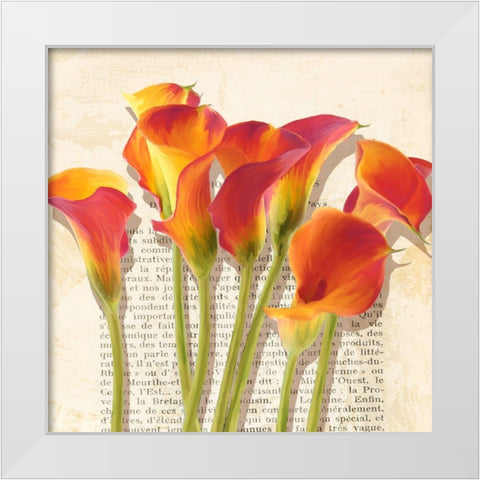 Histoires de Callas (detail) White Modern Wood Framed Art Print by Villa, Luca