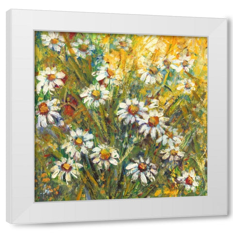 Margherite nel sole White Modern Wood Framed Art Print by Florio, Luigi