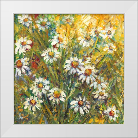 Margherite nel sole White Modern Wood Framed Art Print by Florio, Luigi