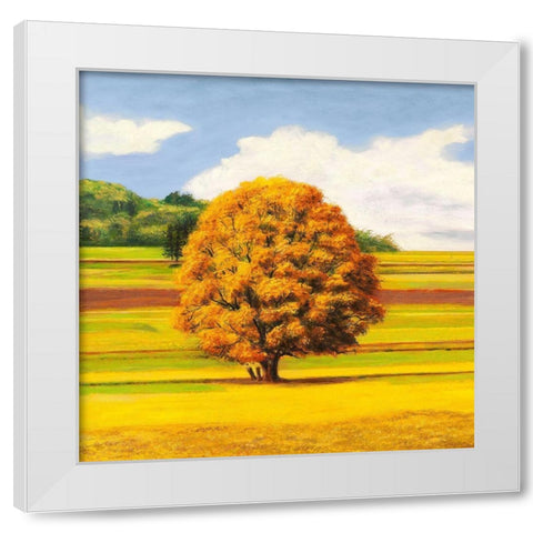 Pianure serene I (detail) White Modern Wood Framed Art Print by Angelo, Masera
